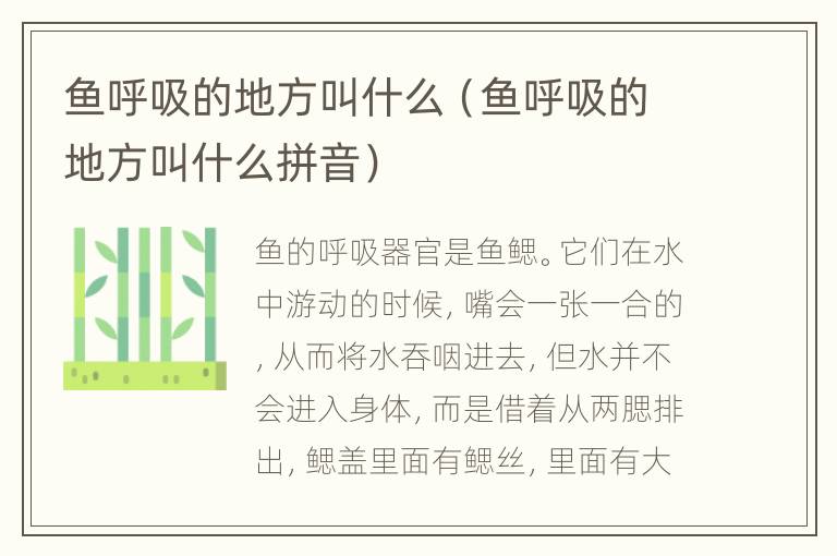 鱼呼吸的地方叫什么（鱼呼吸的地方叫什么拼音）