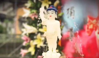 浴佛节的讲究 浴佛节的习俗讲究