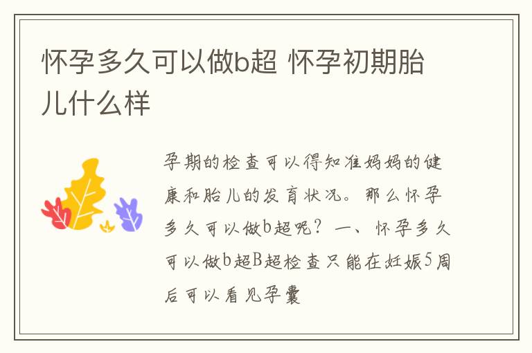 怀孕多久可以做b超 怀孕初期胎儿什么样
