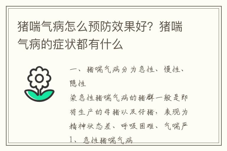 猪喘气病怎么预防效果好？猪喘气病的症状都有什么