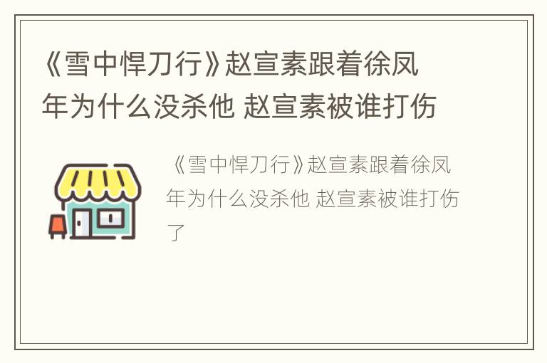 《雪中悍刀行》赵宣素跟着徐凤年为什么没杀他 赵宣素被谁打伤了