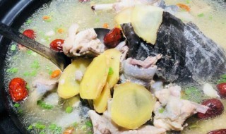 牛鞭鸽子汤怎么做 牛鞭鸽子汤的做法