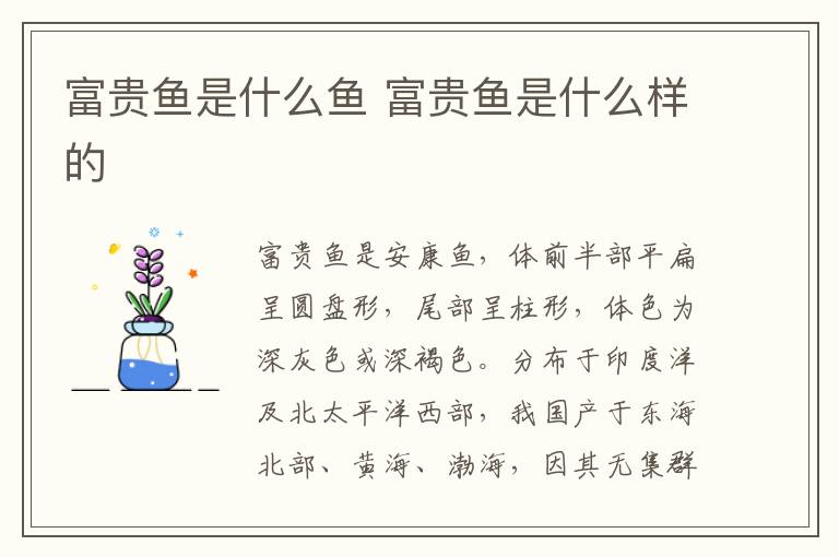 富贵鱼是什么鱼 富贵鱼是什么样的