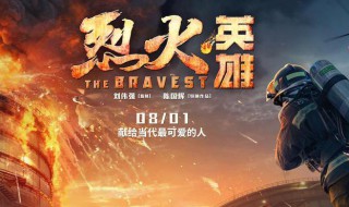 烈火英雄有龚俊和张哲瀚吗 烈火英雄的简介
