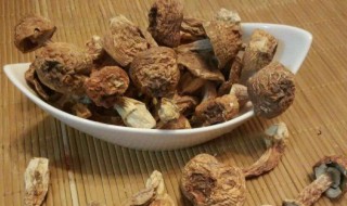 姬松茸的功效与作用 姬松茸的功效与作用介绍