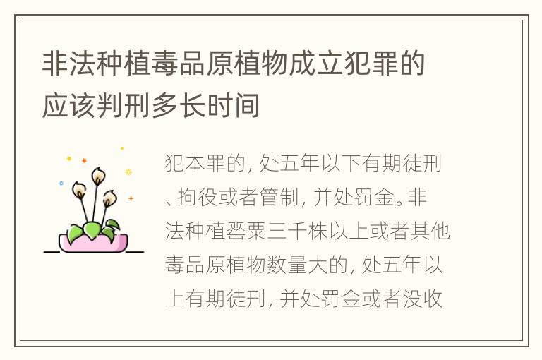 非法种植毒品原植物成立犯罪的应该判刑多长时间