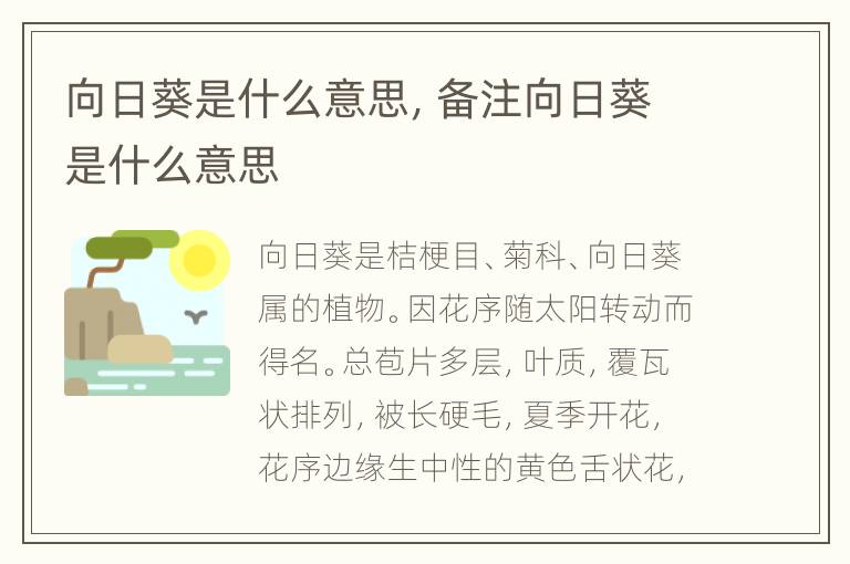 向日葵是什么意思，备注向日葵是什么意思