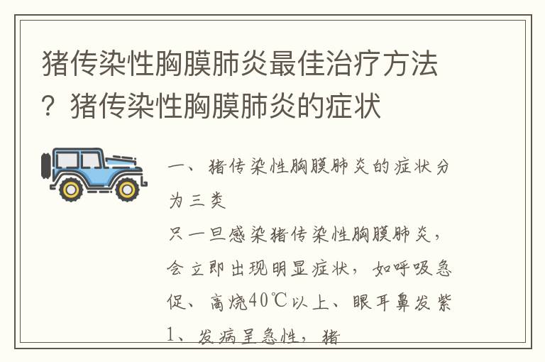 猪传染性胸膜肺炎最佳治疗方法？猪传染性胸膜肺炎的症状
