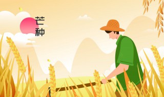 几月几日芒种2022 芒种的相关知识