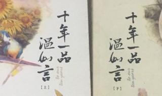 十年一品温如言剧情 电视剧十年一品温如言剧情简介