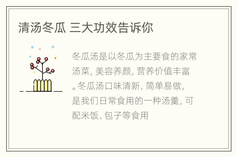 清汤冬瓜 三大功效告诉你