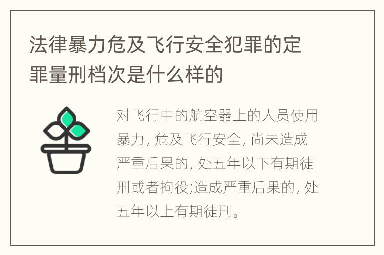 法律暴力危及飞行安全犯罪的定罪量刑档次是什么样的