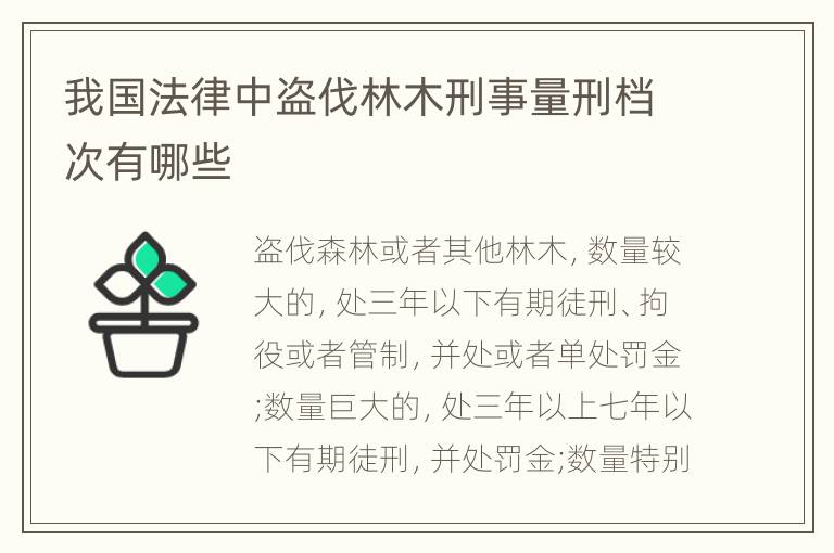 我国法律中盗伐林木刑事量刑档次有哪些