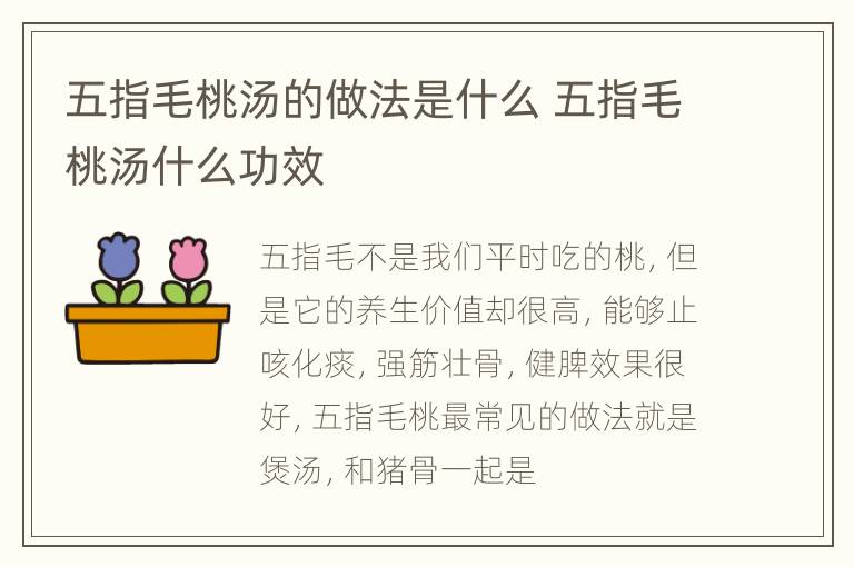 五指毛桃汤的做法是什么 五指毛桃汤什么功效