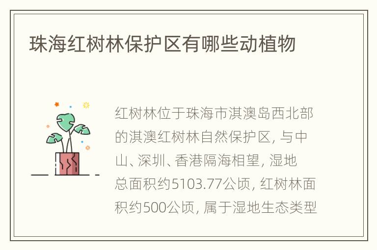 珠海红树林保护区有哪些动植物