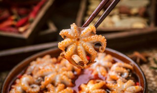 章鱼和乌贼的区别 乌贼与章鱼的区别在哪里