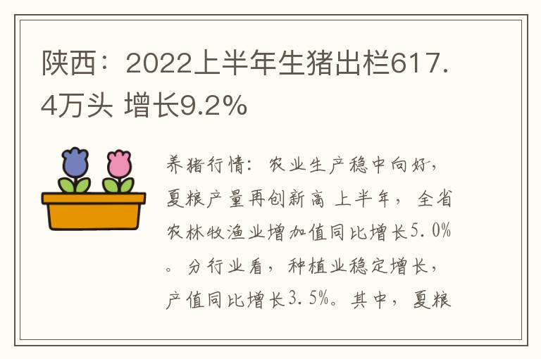 陕西：2022上半年生猪出栏617.4万头 增长9.2%