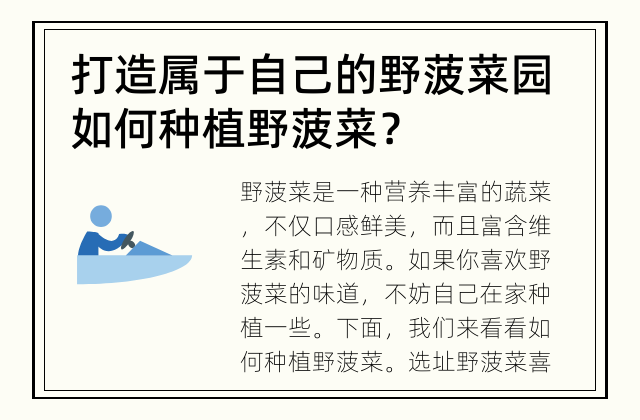 打造属于自己的野菠菜园 如何种植野菠菜？