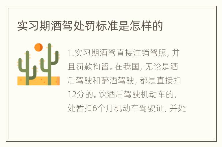 实习期酒驾处罚标准是怎样的
