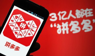怎么进入拼多多520秒杀节 拼多多简介