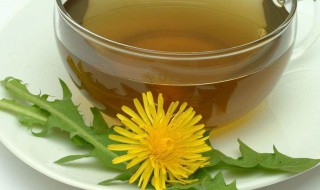 蒲公英根茶能长期喝吗 蒲公英功效介绍