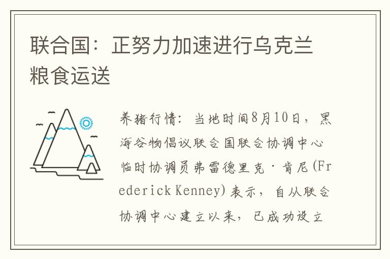 联合国：正努力加速进行乌克兰粮食运送