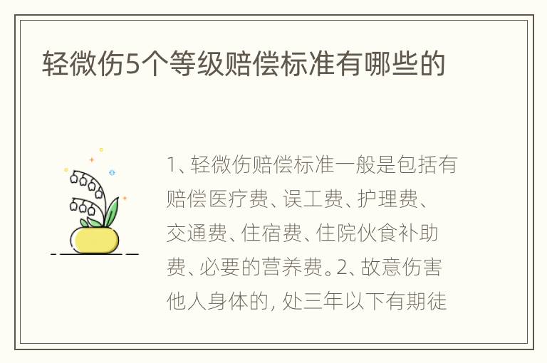 轻微伤5个等级赔偿标准有哪些的
