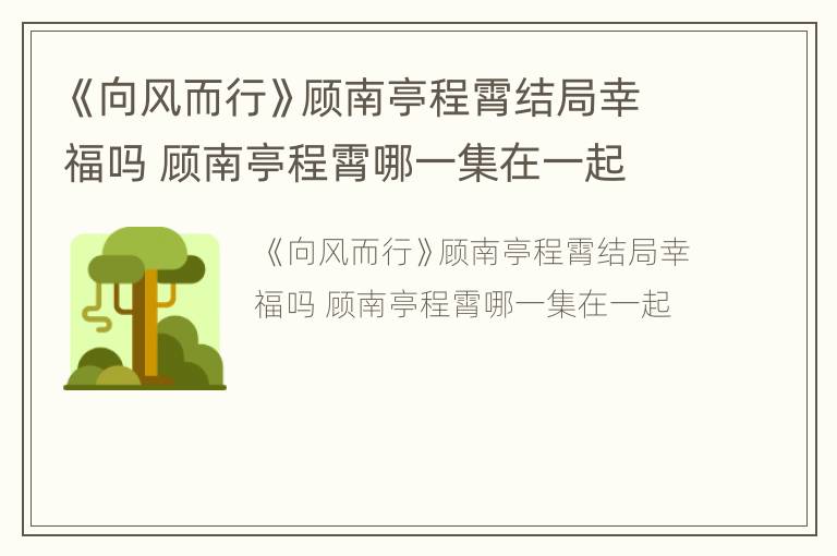 《向风而行》顾南亭程霄结局幸福吗 顾南亭程霄哪一集在一起