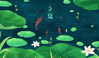 立夏谚语 关于立夏谚语