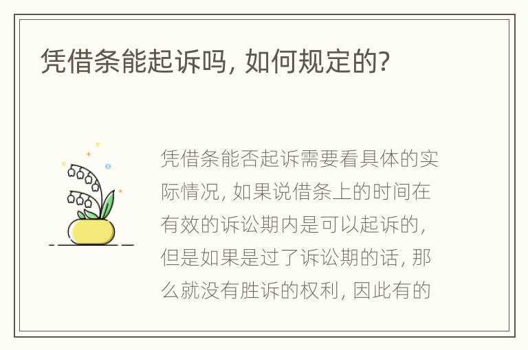 凭借条能起诉吗，如何规定的？