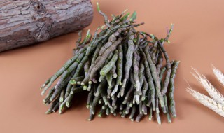 霍山石斛种植方法（霍山石斛的种植方法）
