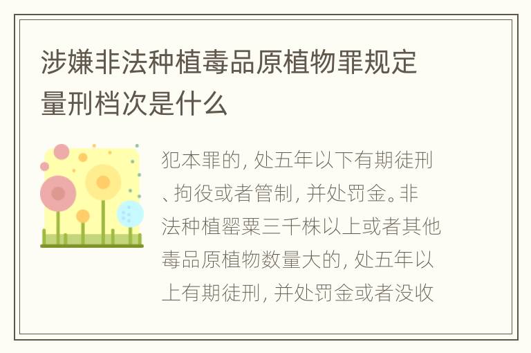 涉嫌非法种植毒品原植物罪规定量刑档次是什么