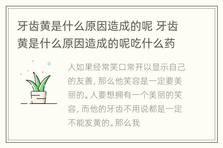 牙齿黄是什么原因造成的呢 牙齿黄是什么原因造成的呢吃什么药