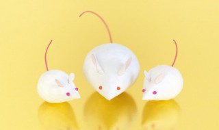 鼠年结婚冲鼠怎样办 冲鼠的详细化解办法