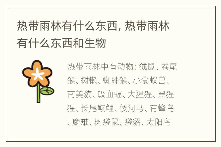 热带雨林有什么东西，热带雨林有什么东西和生物