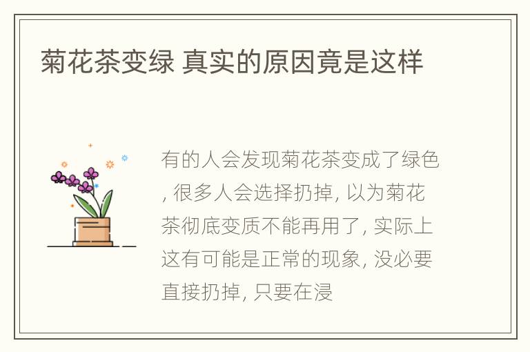 菊花茶变绿 真实的原因竟是这样