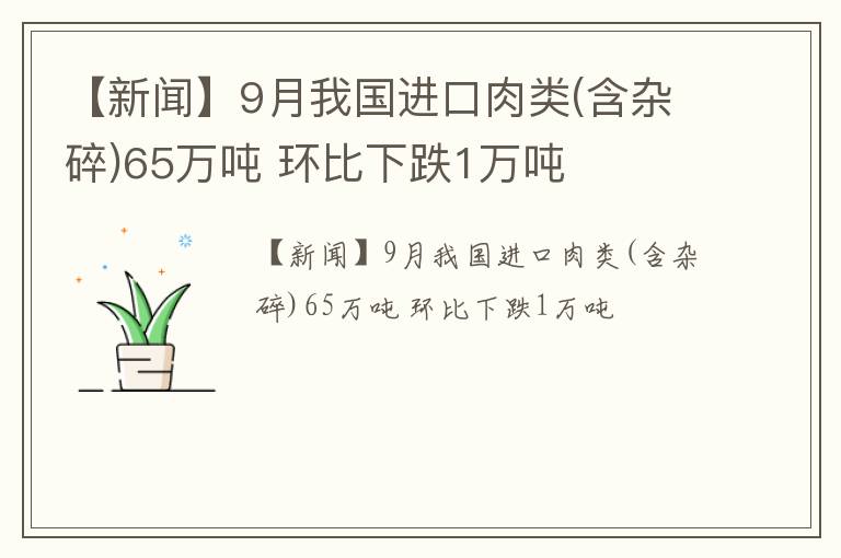 【新闻】9月我国进口肉类(含杂碎)65万吨 环比下跌1万吨