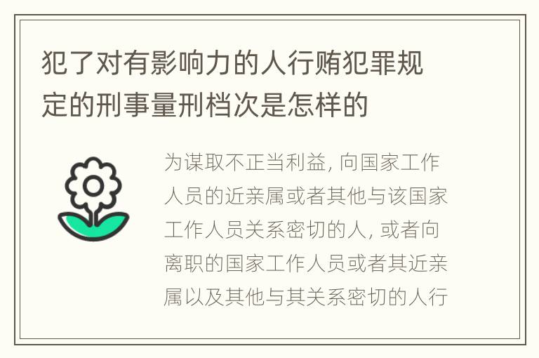 犯了对有影响力的人行贿犯罪规定的刑事量刑档次是怎样的