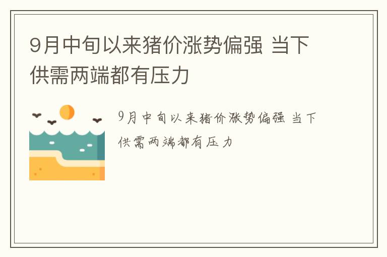 9月中旬以来猪价涨势偏强 当下供需两端都有压力