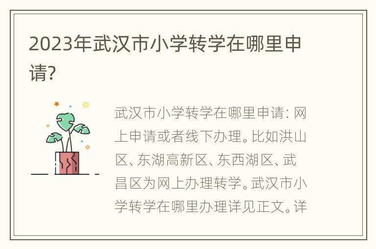 2023年武汉市小学转学在哪里申请？