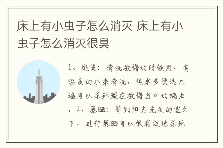 床上有小虫子怎么消灭 床上有小虫子怎么消灭很臭