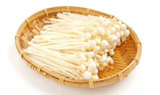 金针菇煮多久可以熟（金针菇要煮多久能熟）