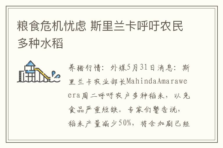 粮食危机忧虑 斯里兰卡呼吁农民多种水稻