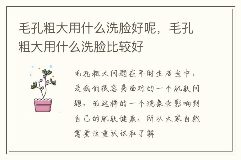 毛孔粗大用什么洗脸好呢，毛孔粗大用什么洗脸比较好