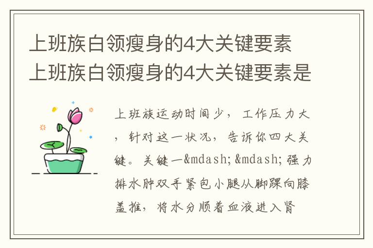 上班族白领瘦身的4大关键要素 上班族白领瘦身的4大关键要素是什么