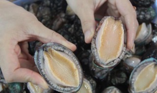鲍鱼怎么洗才算干净 洗鲍鱼方法