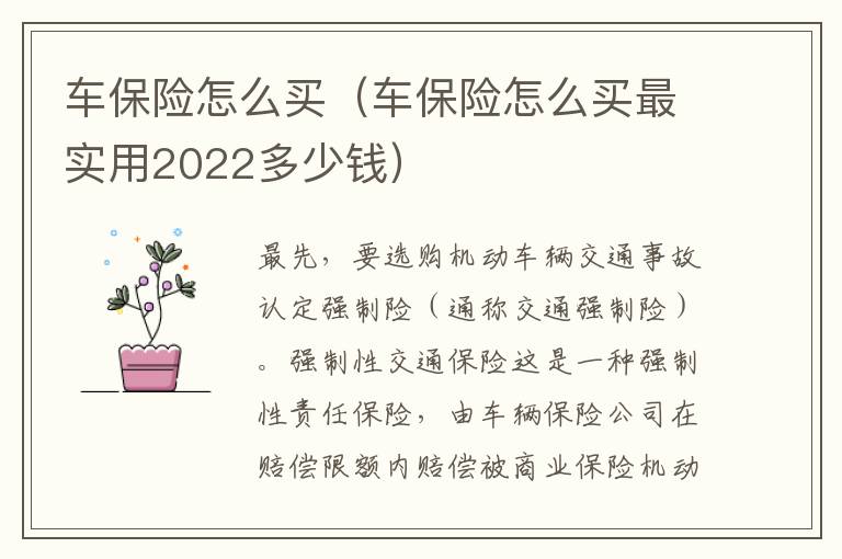 车保险怎么买（车保险怎么买最实用2022多少钱）