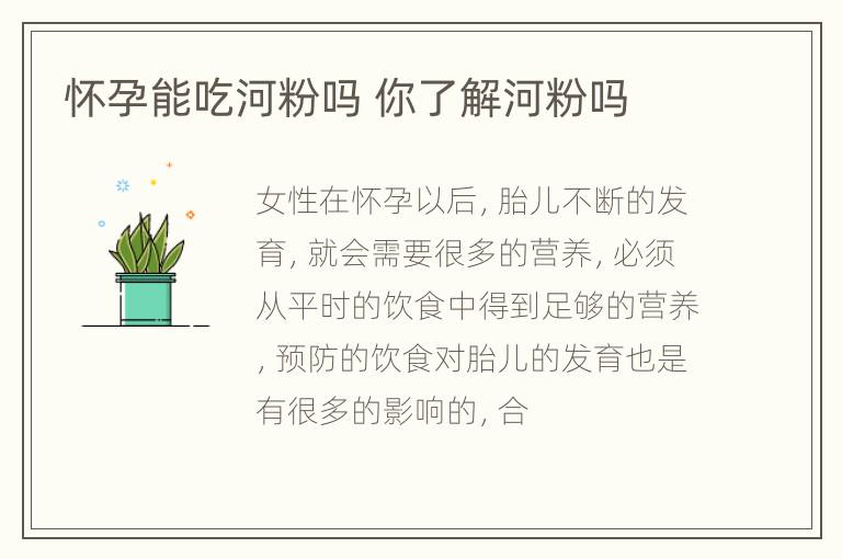 怀孕能吃河粉吗 你了解河粉吗