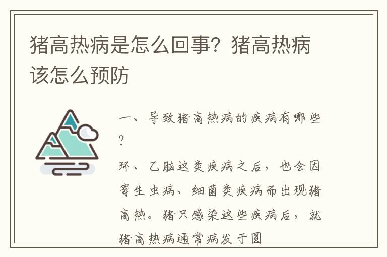 猪高热病是怎么回事？猪高热病该怎么预防
