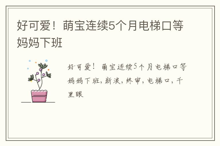好可爱！萌宝连续5个月电梯口等妈妈下班